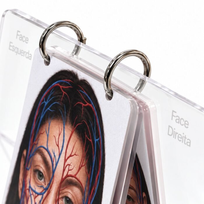 facemap3
